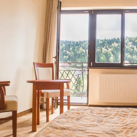 酒店 Pensjonat Muszyna 穆希纳