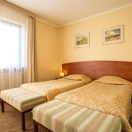 Pensjonat Muszyna 酒店 穆希纳