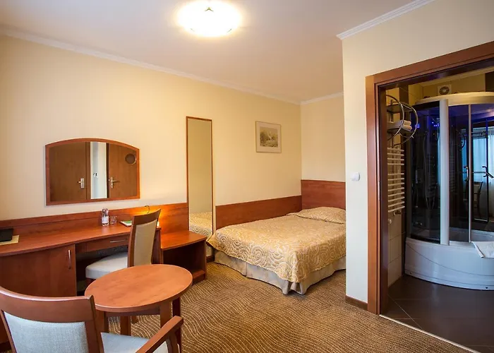 Hotel Muszyna*** Hotel